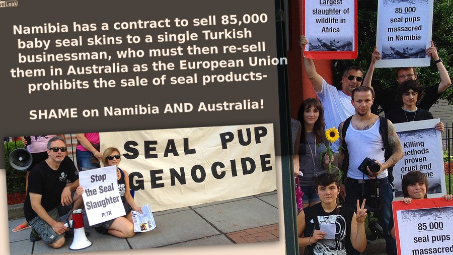 68_namibia-seal-kill-protest-dc
