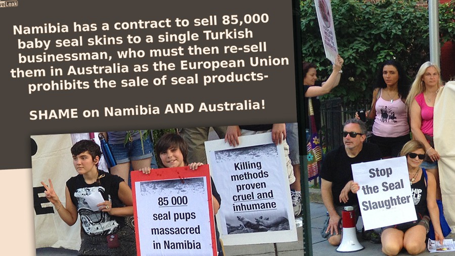 69_namibia-seal-kill-protest-dc