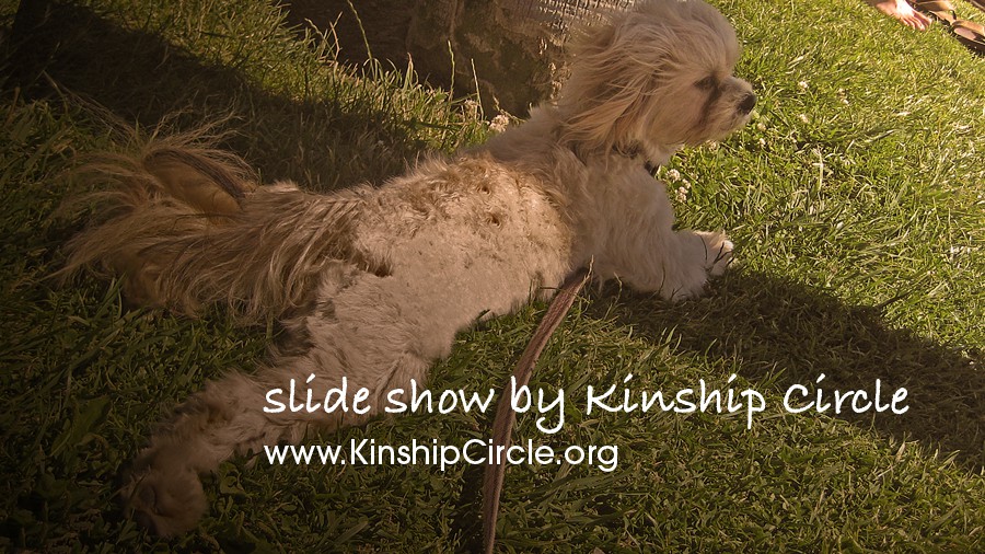 82_slideshow-by-kinship-circle