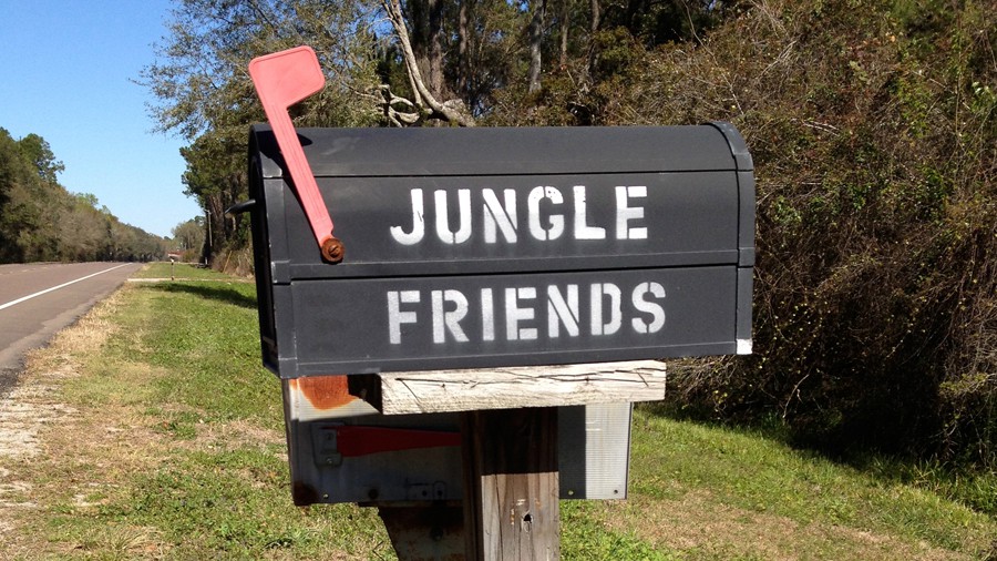 2_jungle-friends-mailbox