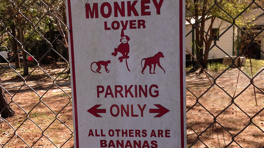 55_monkey-lover