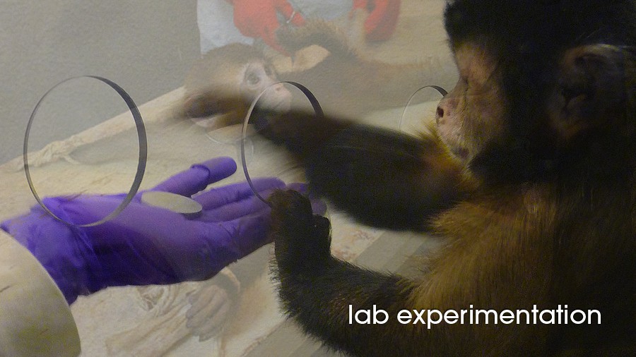 5_lab-experimentation