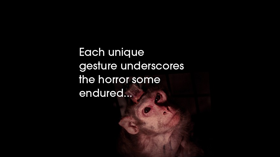 85_horror-endured