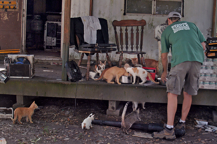 Ron Presley and Sister Michael Marie visit Colyell, a mostly empty town in Livingston Parrish. Animals remain. And they're very hungry. (c) Kinship Circle, Louisiana Flood