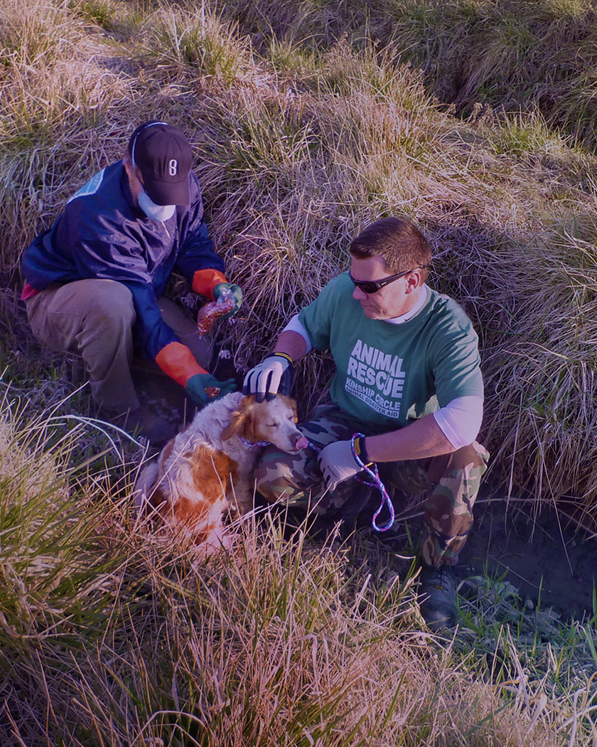 Ron Presley, KC-DART Field Response Manager, is in Japan for animal victims of an earthquake, tsunami and radiation crisis. Here, he leads a Kinship Circle-JEARS team to rescue this forlorn cocker spaniel, Susie, hidden in roadside weeds in deserted Minami-Soma.