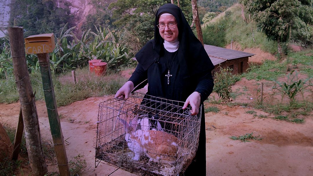 Sister Michael Marie rescues rabbits found on a deserted property with ducks, chickens and dogs. All are dehydrated and require vet care. (c) Kinship Circle, Brazil Mudslides