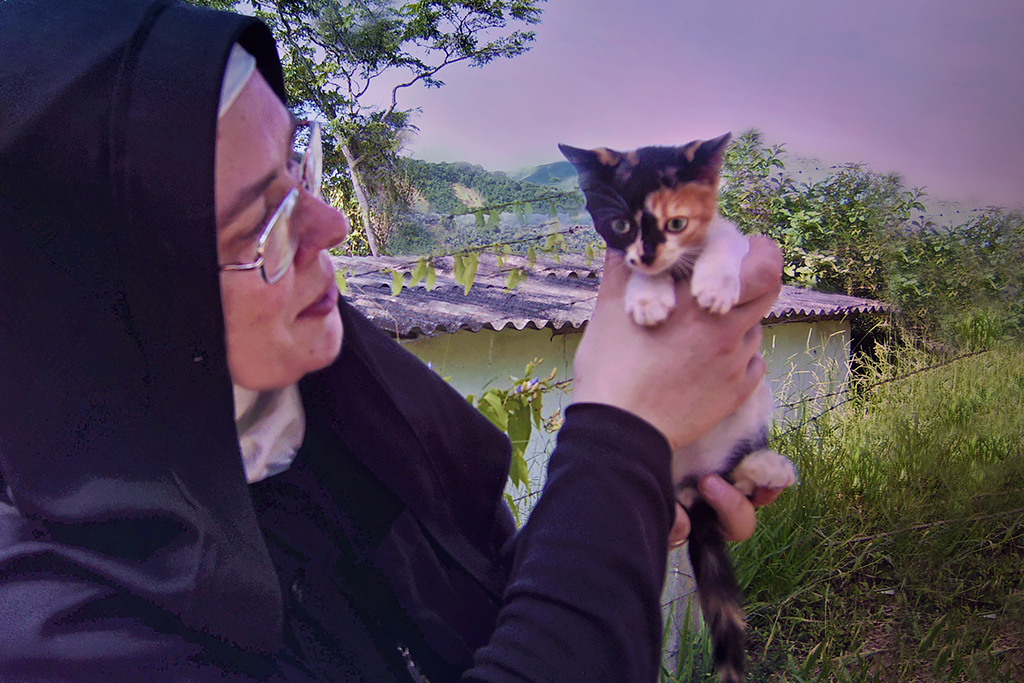 KC-DART finds only this calico in an undamaged home where residents left without their cats. Sister Michael Marie examines the baby survivor. (c) Kinship Circle, Brazil Mudslides