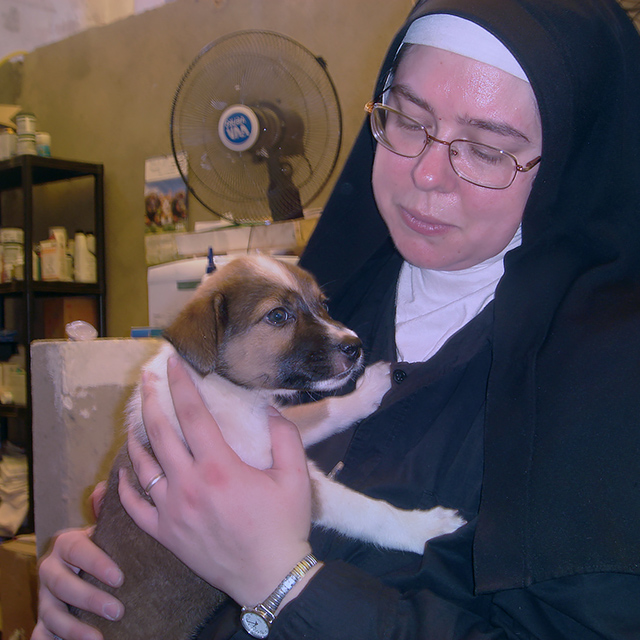 Sister Micahel Marie, Kinship Circle DART Public Information and Staff Relations Director, gently comforts animals traumatized in Brazil's flash floods and landslides. (c) Kinship Circle, Brazil Mudslides