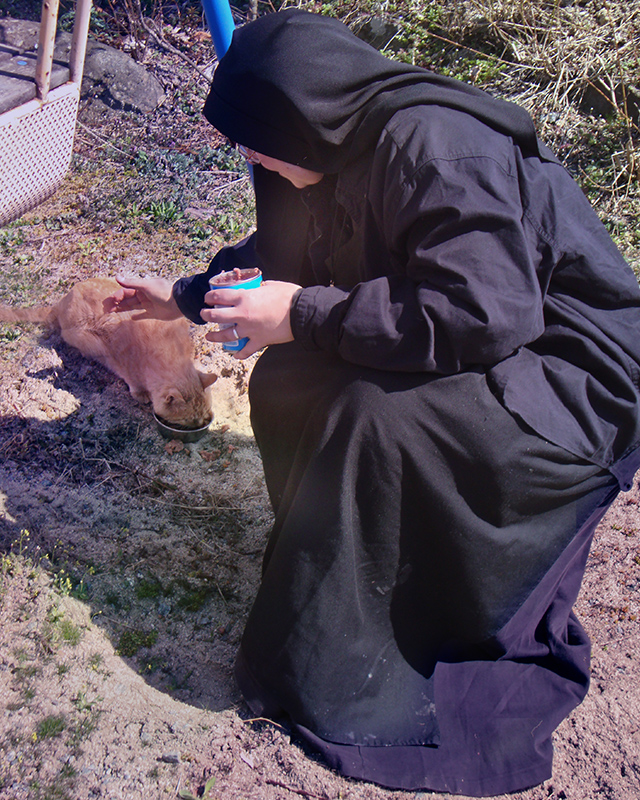 Kinship Circle officer Sister Michael Marie feeds a cat left to fend for himself in an area evacuated for radiation risk (c) Kinship Circle, Japan Earthquake