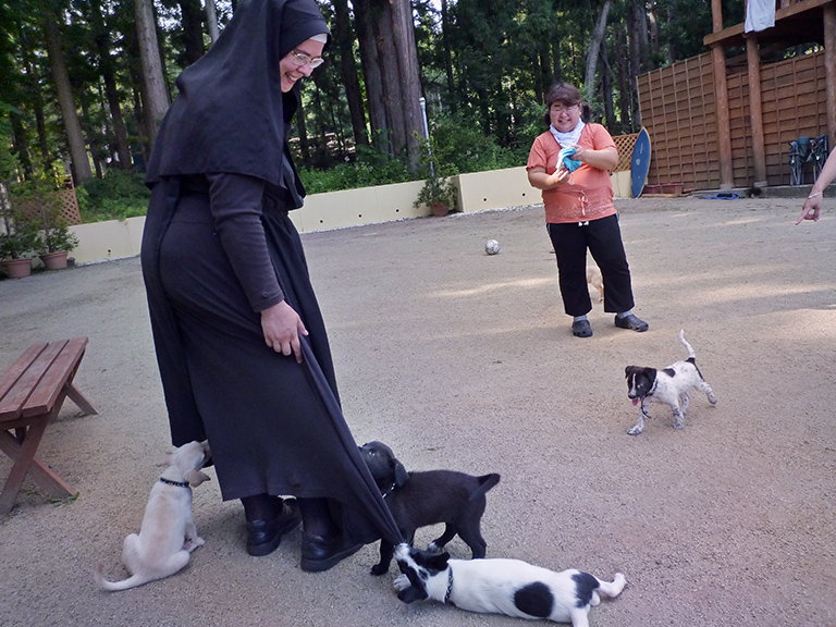 Sister Michael, a vet tech on her 4th Japan trip, plays with pups rescued near the damaged nuclear reactor. The little goobers nibble and tug at her nun's habit, the best toy ever! (c) Kinship Circle, Japan Earthquake