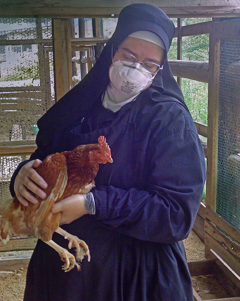 In Japan, Sister Michael examines deserted chickens weak from lack of food or water. (c) Kinship Circle, Japan Earthquake
