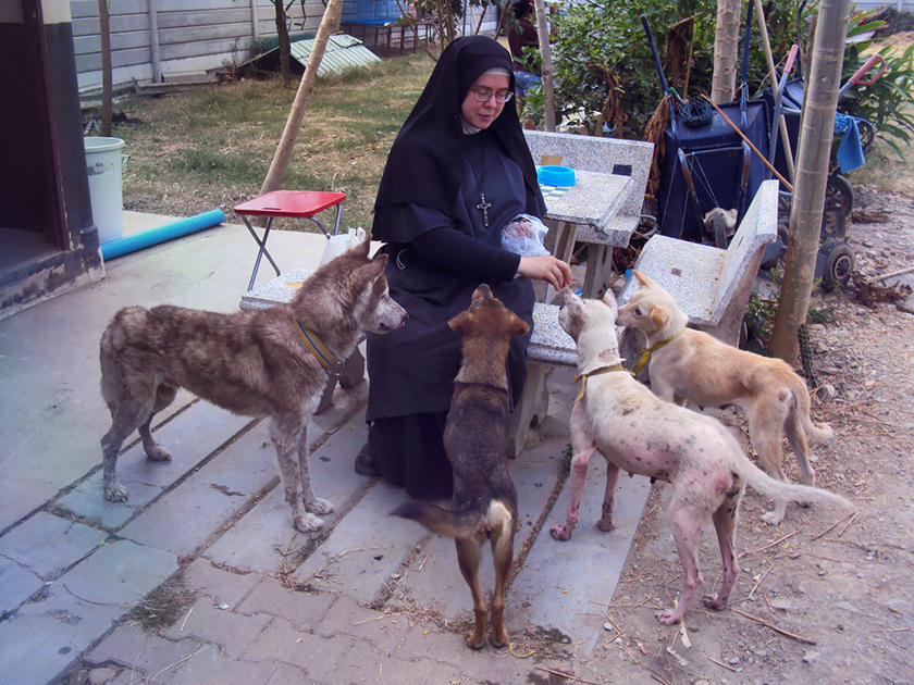 Sister Michael Marie with flood rescues in Bangkok. (c) Kinship Circle, Thailand Floods