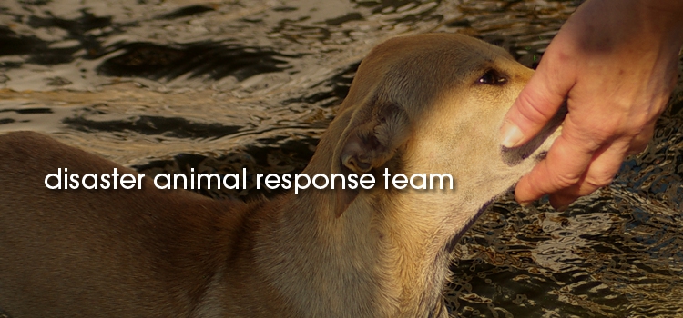 2_disaster-animal-response-team