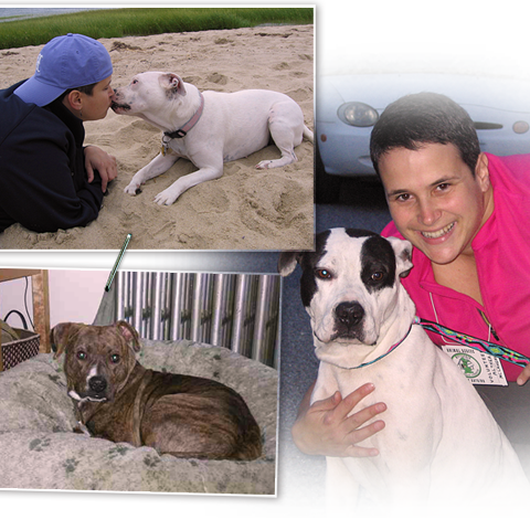 Noel, Jimmy and others are founding canine members of Pits Are Love Inc 480x470