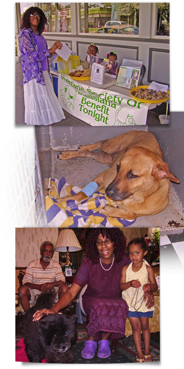 Humane Society of Louisiana sells lemonade to aid Katrina dogs 360x720