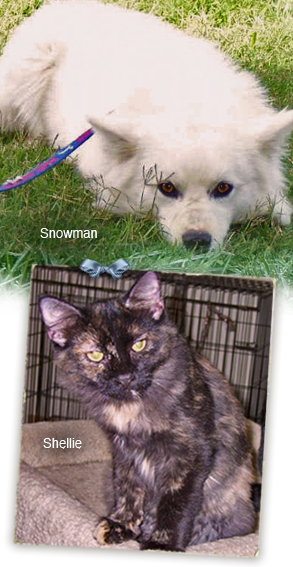 Snowman and Shellie are two of many beautiful animals at PAWS Plaquemines who need forever homes 293x567