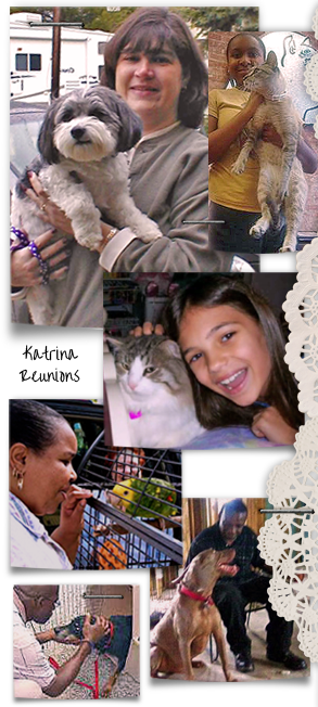 collage of Katrina evacuees reunited with their beloved companion animals 293x652
