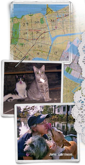 food/water maps, stranded cats, Jane Garrison 293x563