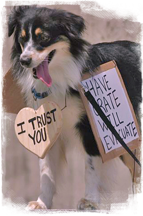 A dog wears signs that say I Trust You and Have Crate, Will Evacuate at a post Katrina rally 293x440