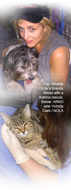 Kinship Circle founder Brenda Shoss helps out at ARNO, volunteer Victoria Clark cradles a kitten 239x640