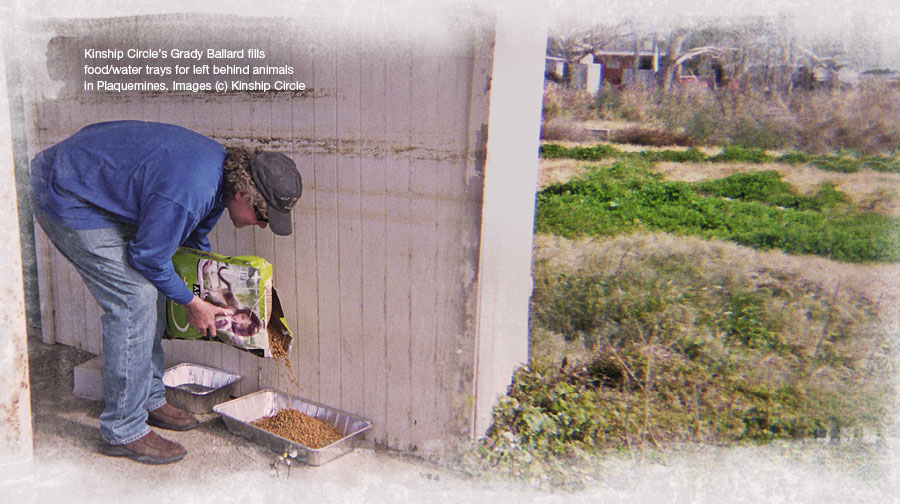 Grady Ballard fills a food water stations for animals after Katrina 900x504