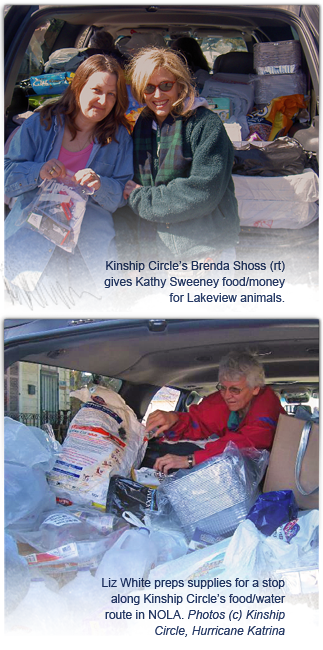 Kinship Circle director Brenda Shoss unloads food and funds for Kathy Sweeney, who aids Lakeview animals, below Liz White feeds Upper 9th Ward animals 323x650