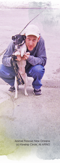 ARNO volunteer Ryan Gares with rescued pup found so shaky cold he was named Mr Shivers 239x650