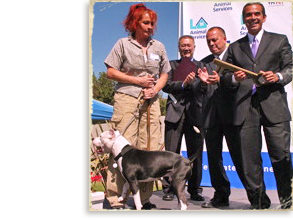 Los Angeles Mayor gets key from NOLA pit bull rescue at opening of city animal shelter 239x230