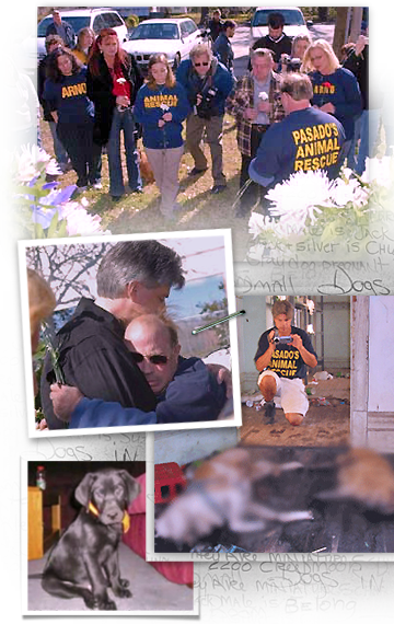 Memorial for animals slaughtered post Katrina in St Bernard Parish streets and schools 360x570