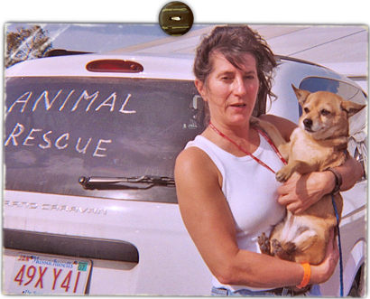 Katrina animal rescuer Pamela Jo chihuahua mix Pinky, who survived floods floating on wood piece 320x258