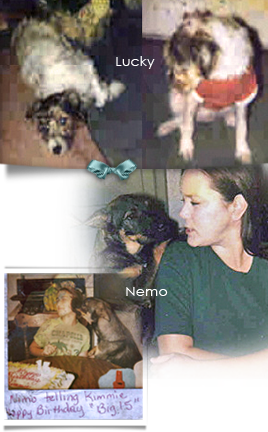 Lucky and Nemo were last seen together when their dad, a NOLA policeman reported for duty at the Superdome 268x432