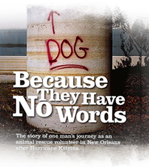 Because They Have No Words, a play about Katrina animal rescue, is nominated for award 293x330