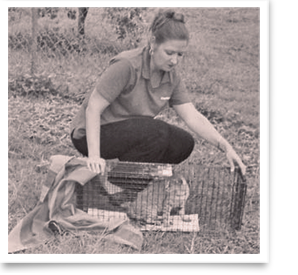Ramona Billot leads Plaquemines Cat Action Team, the first parish effort to replace lethal animal control with humane solutions 298x275