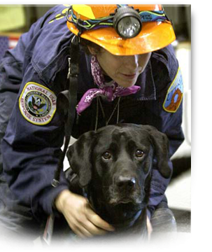 Jake, a canine rescue hero from 911 and Katrina, has died 303x360