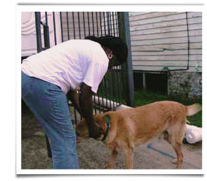 Sidney, a black Lab, is reunited with his Bywater mom 303x264