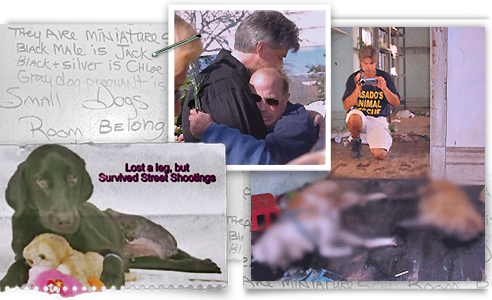 images from street and school animal massacres in post Katrina St Bernard Parish 492x300