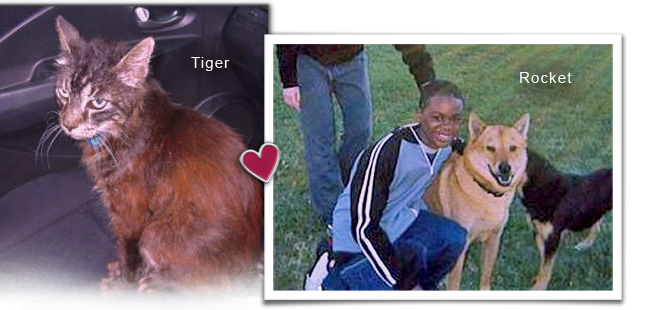 After 20 months Tiger the cat is home, Nobody knows how Rocket got to high ground from his Katrina flooded home, but he survived and found his family again too 661x310