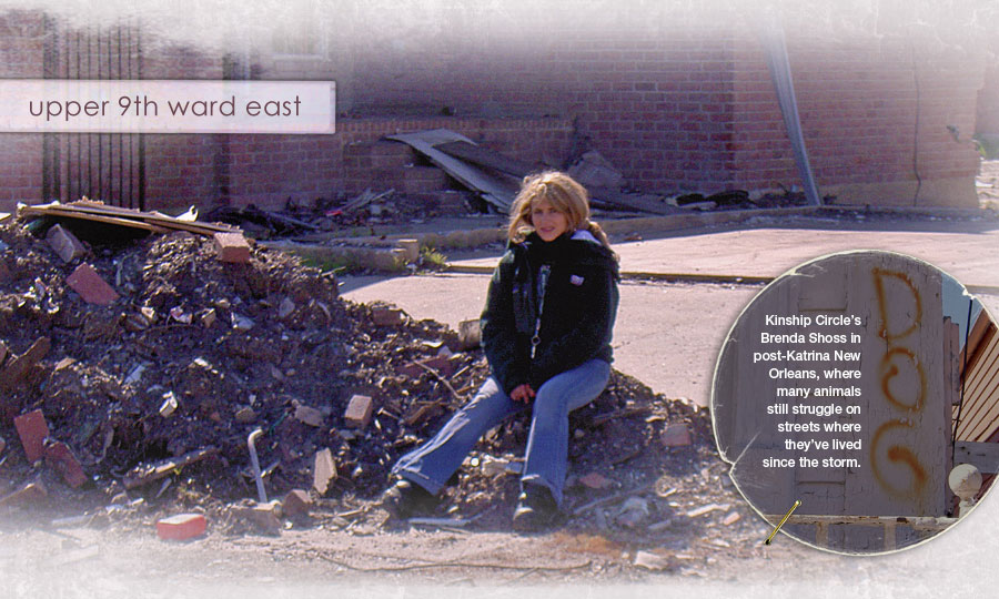 Brenda Shoss on Katrina debris heap 900x540