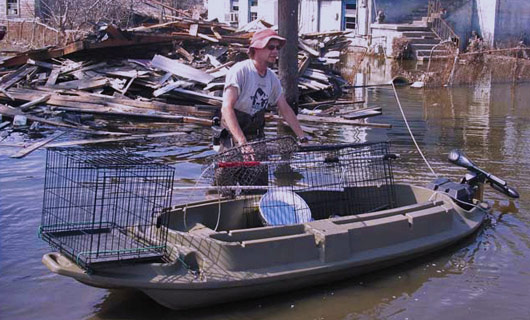 Tim Gorski boats out to Katrina flooded homes in search of trapped and dying companion animals 530x320