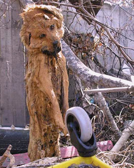 When people evacuated their home for Katrina, they left this poor dog tied to their front porch, when floods uprooted the home, turning it on its side, the leash became a noose that hung the dog 262x330