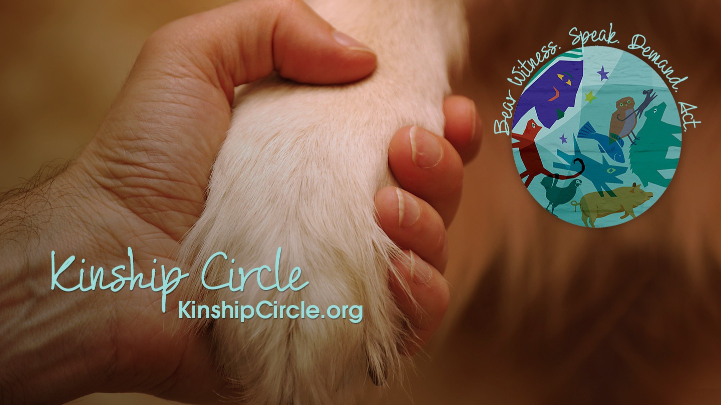 1-Kinship-Circle