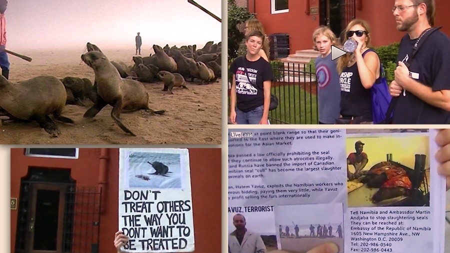 65_namibia-seal-kill-protest-dc