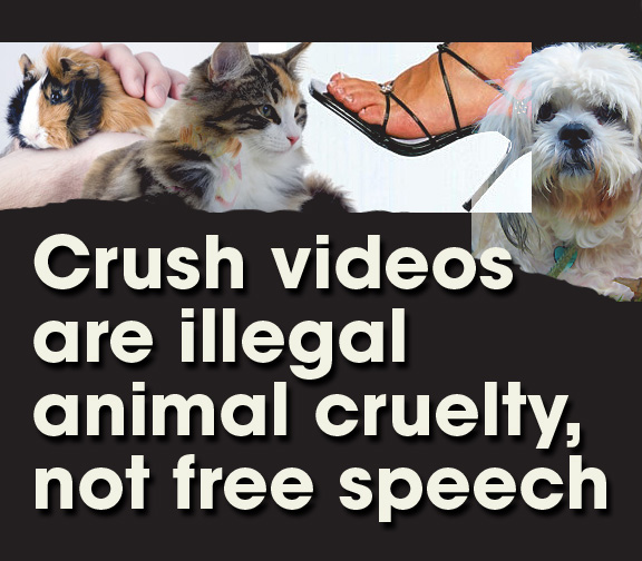 12/13/10: Obama Signs Animal Crush Video Act Into Law