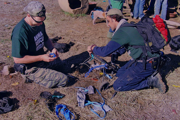 Ron Presley and Peter Crowe gather scrap parts scattered around a farm to craft a wheel cart for a dog with paralyzed back legs. With wheels, the dog moves freely. (c) Kinship Circle, Chile Earthquake