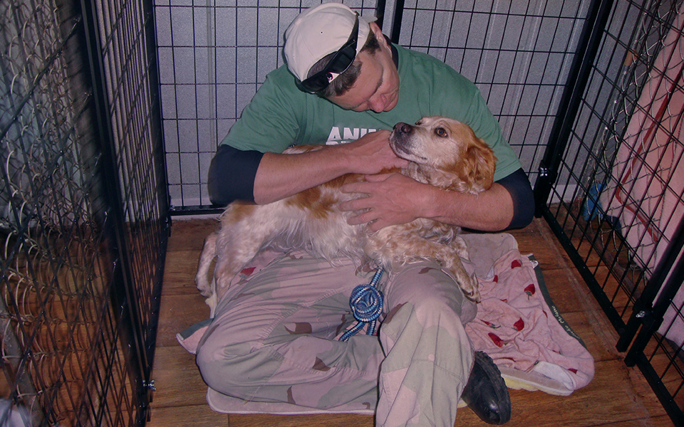 Like many, she wears a collar. Is she orphaned or abandoned? Reunion efforts are made for all rescues. Ron Presley comforts Susie at the emergency shelter Animal Friends Niigata. (c) Kinship Circle, Japan Earthquake