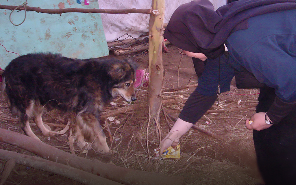 Sister Michael Marie brings food and vet aid to evacuee encampments. (c) Kinship Circle, Chile Earthquake