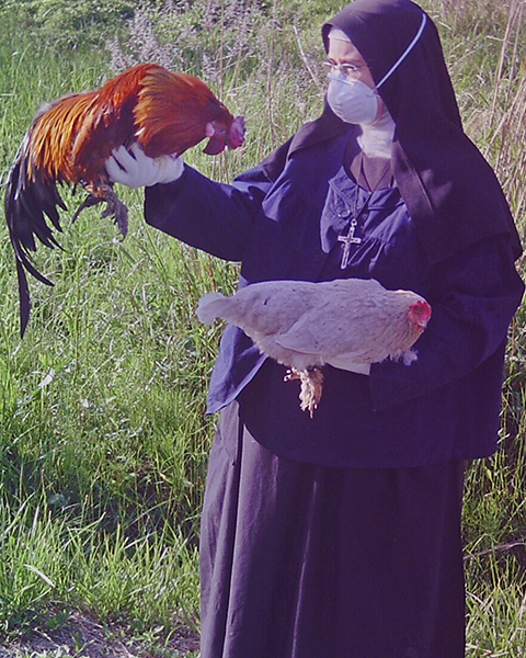 JEARS and Kinship Circle have fed chickens since residents fled the 30km nuclear radiation zone. (c) Kinship Circle, Japan Earthquake