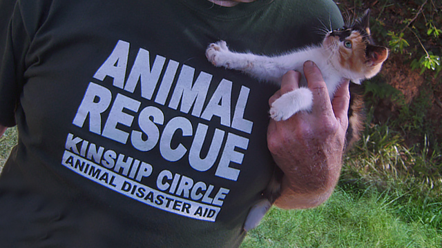 Dennis Pickersgill with calico rescue, (c) Kinship Circle