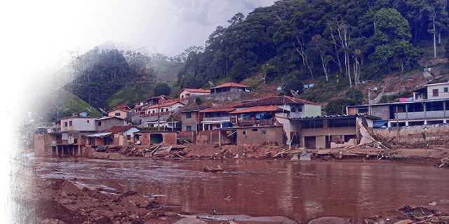Mudslides leave animals hurt, sick, scared, Kinship Circle
