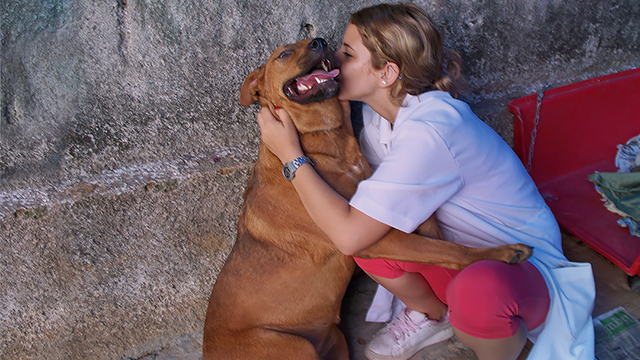 Brazil vet tech soothes deserted dog, Kinship Circle